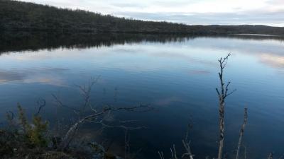 post-14074-0-72722800-1433486804_thumb.j