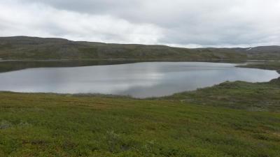 post-14074-0-91242100-1435591402_thumb.j