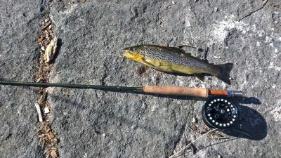 post-14387-0-44351500-1433831041_thumb.j