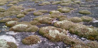 post-14478-0-33962000-1435393918_thumb.j