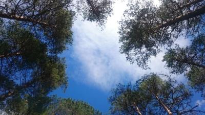 post-14478-0-36420000-1435394602_thumb.j