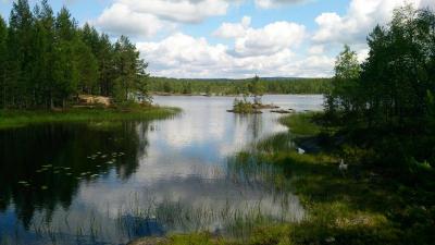 post-14478-0-69179300-1435394758_thumb.j