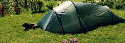 post-14924-0-34152400-1433427643_thumb.j