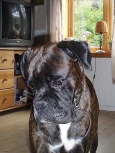 post-15094-0-55182100-1433254594_thumb.j