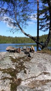 post-15265-0-47592900-1435323381_thumb.j