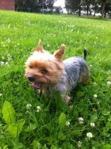 post-15787-0-60540200-1433160901_thumb.j