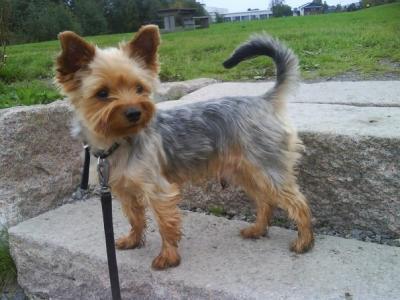 post-15787-0-66569700-1433172404_thumb.j