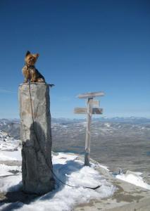 post-15787-0-70282500-1433160912_thumb.j