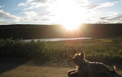 post-15787-0-86784700-1433160843_thumb.j