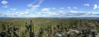 post-15860-0-23059500-1433362993_thumb.j