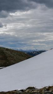 post-15860-0-25323100-1434833631_thumb.j