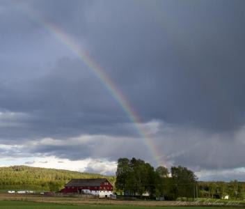 post-15860-0-28795200-1433363024_thumb.j