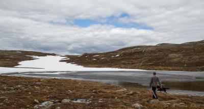 post-15860-0-33673500-1435077741_thumb.j