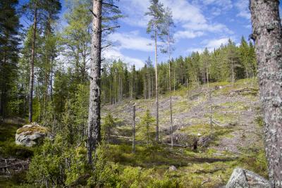 post-15860-0-35929700-1433363001_thumb.j