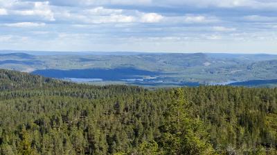 post-15860-0-47392700-1433362996_thumb.j