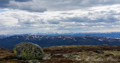 post-15860-0-54636300-1434833635_thumb.j