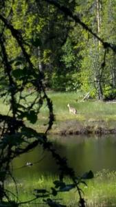 post-15860-0-65308300-1434484021_thumb.j