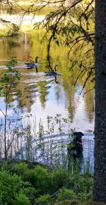 post-15860-0-73817700-1434484003_thumb.j