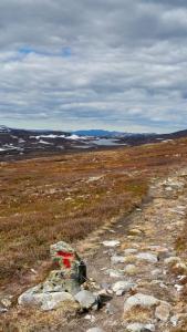 post-15860-0-97350100-1434833632_thumb.j