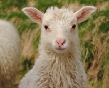 post-4220-0-35833200-1433238222_thumb.jp