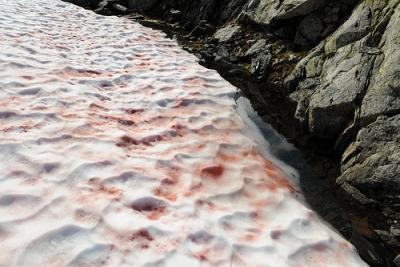 post-4220-0-51532400-1435213427_thumb.jp