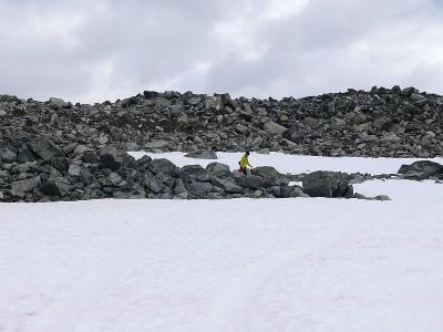 post-4220-0-99385300-1434027771_thumb.jp