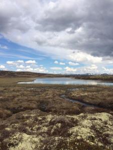 post-4444-0-08668700-1434899848_thumb.jp