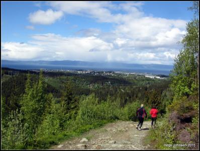 post-4444-0-08910200-1434465621_thumb.jp