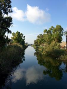 post-4444-0-29335500-1433956034_thumb.jp