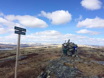 post-4444-0-43031500-1434826645_thumb.jp