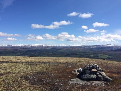 post-4444-0-60927200-1434826612_thumb.jp