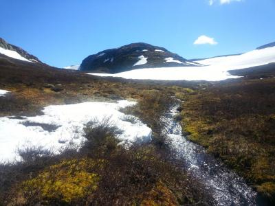 post-8554-0-03625600-1434312878_thumb.jp