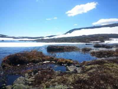 post-8554-0-06392400-1434313018_thumb.jp