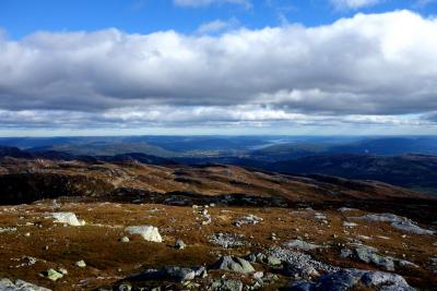 post-9055-0-24558100-1435520912_thumb.jp