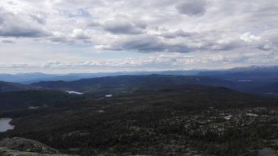 post-9055-0-41781600-1434923063_thumb.jp