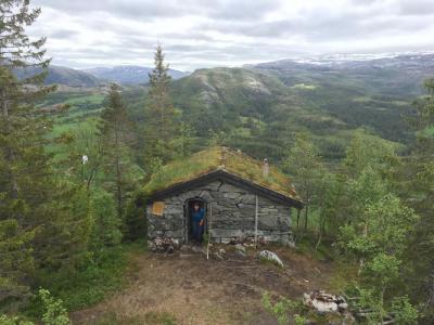 post-9562-0-39721800-1435435056_thumb.jp