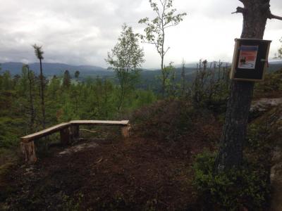 post-9845-0-10534100-1435651937_thumb.jp