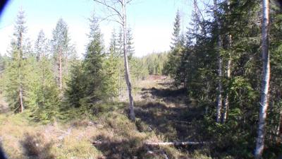 post-9907-0-55251400-1434995112_thumb.jp