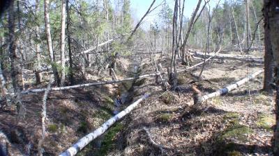 post-9907-0-72526600-1434995025_thumb.jp