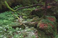 post-10080-0-04501500-1341423156_thumb.j