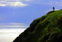 post-10080-0-63703700-1341218116_thumb.j