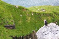 post-10080-0-72018400-1341218128_thumb.j