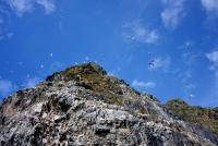 post-10080-0-78764800-1341218994_thumb.j