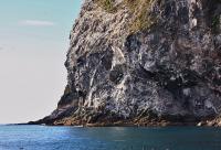 post-10080-0-95818400-1341218974_thumb.j