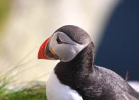 post-10080-0-98090000-1341218121_thumb.j