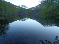 post-2749-0-58843200-1342269790_thumb.jp