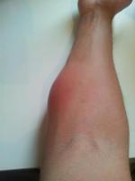 post-6187-0-85432200-1341662412_thumb.jp