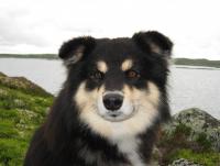 post-8184-0-39065900-1341772127_thumb.jp