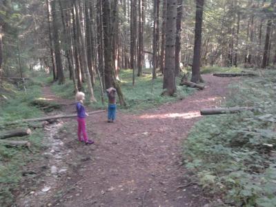 post-11774-0-17200200-1373318214_thumb.j