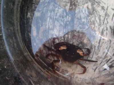 post-11774-0-23278300-1373318342_thumb.j